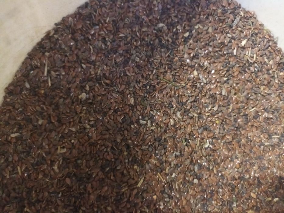 Siemie lniane 25kg Wysyłka od Rolnika