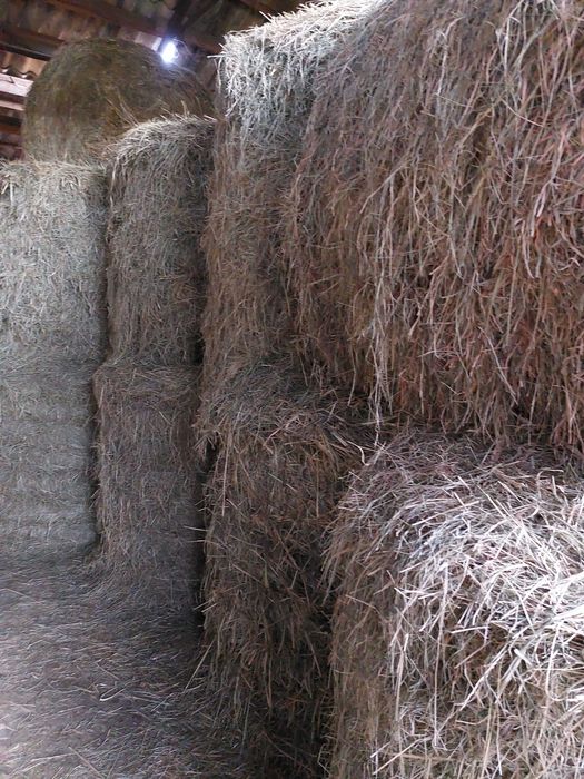 Sprzedam siano 120x120 ze stodoły