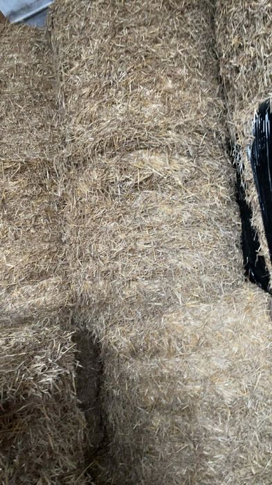 Sprzedam bele słomy