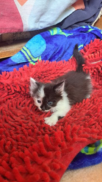 Неймовірний малюк хлопчик  1, 5 міс маленькі