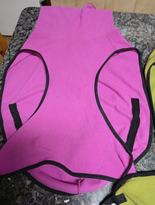 Capa inverno para cão grande