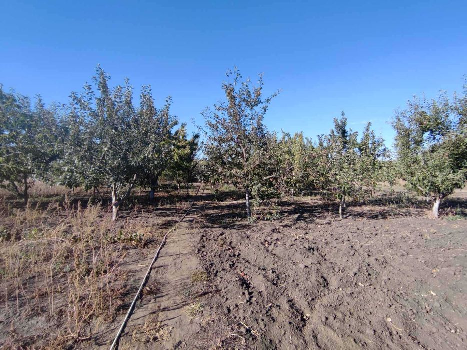 Продам дом в Чугуеве