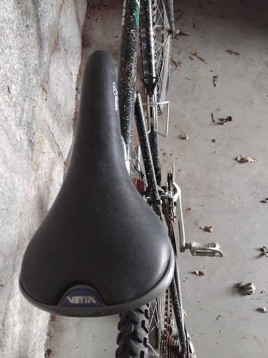 Bicicleta profissional