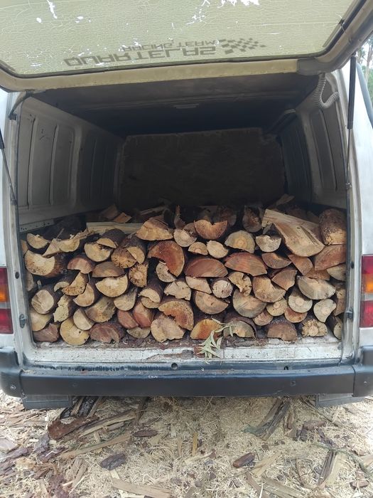 Vendo lenha seca