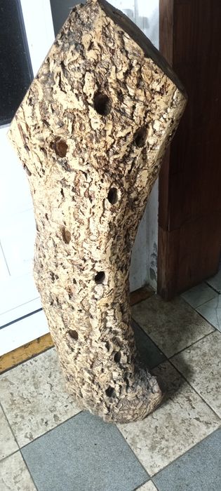 vendo sepo. madeira para garrafeira