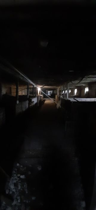 Продам ферму,корівник