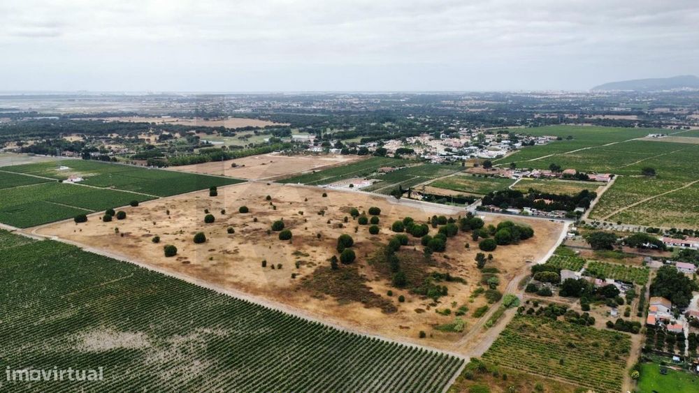 Rustic Land in Co-Ownership Regime – Poceirão, Palmela
