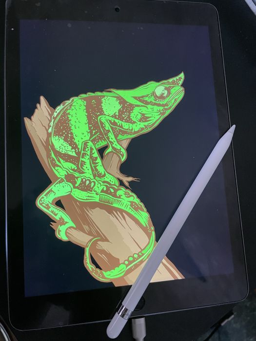 iPad Pro 9,7 256GB