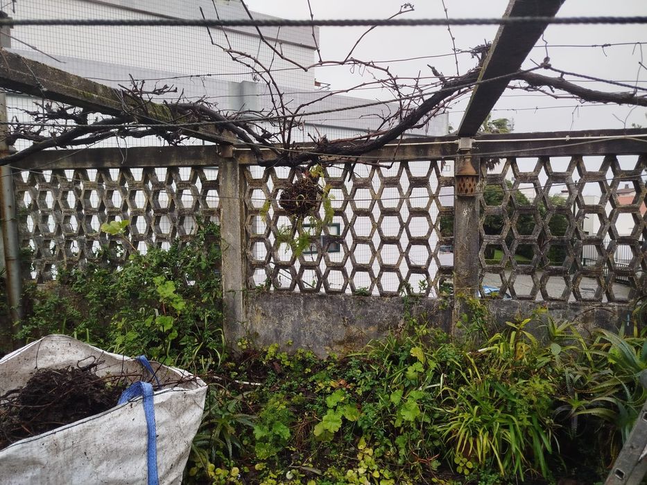 Podas e abates de árvores