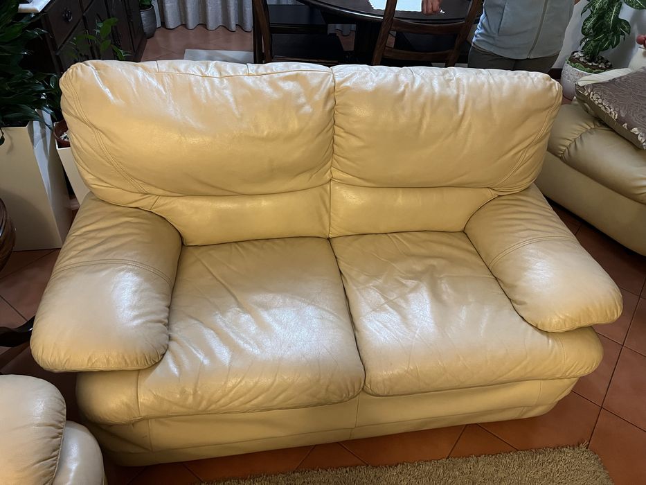 Dois Sofás em Pele