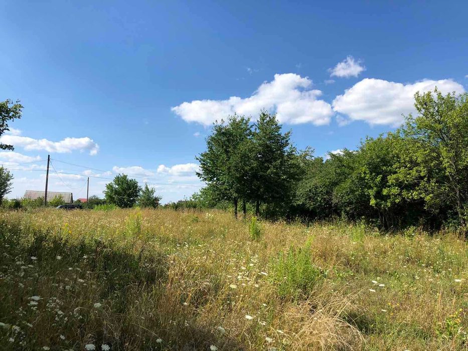 Продам ділянку с. Щітки (8387)