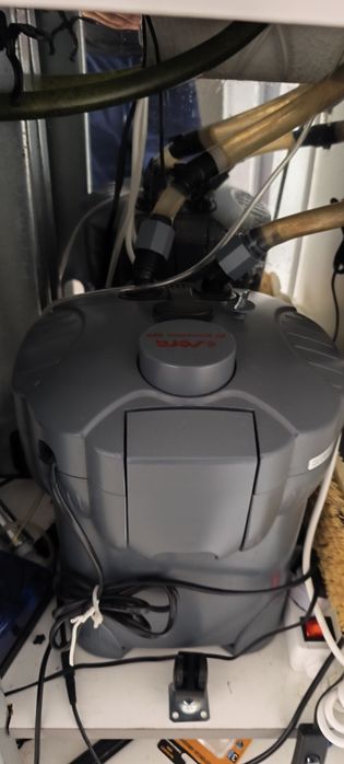 Vendo tudo dois aquários grandes um pequeno e todo equipamento.