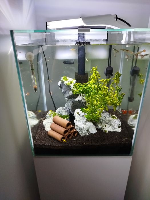 Akwarium kostka z szafką 49l