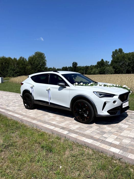 Auto do ślubu 500 zł Cupra Formentor ślub wesele samochód na wynajem