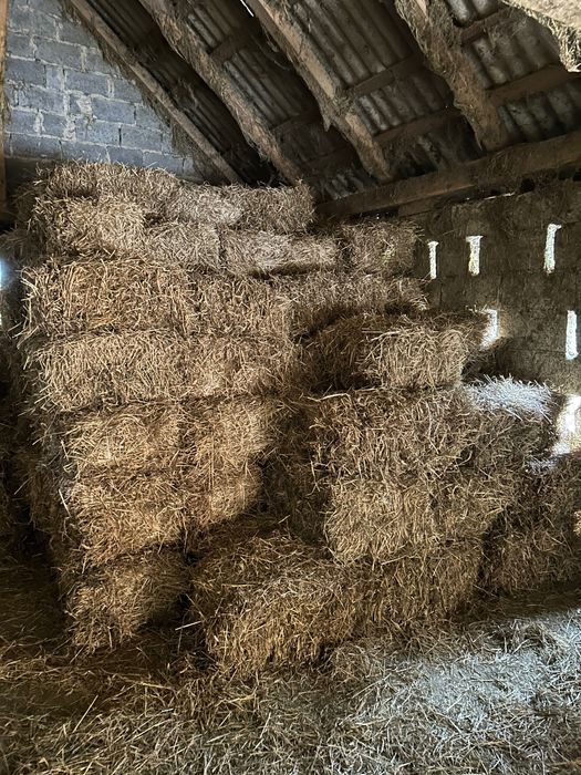 Słoma kostka(pszeniczna)