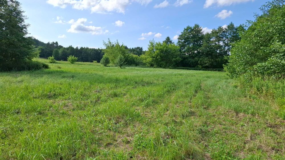 Działka 3,05 ha przy rzece Drwęca, łąka, pastwisko, las, ziemia orna