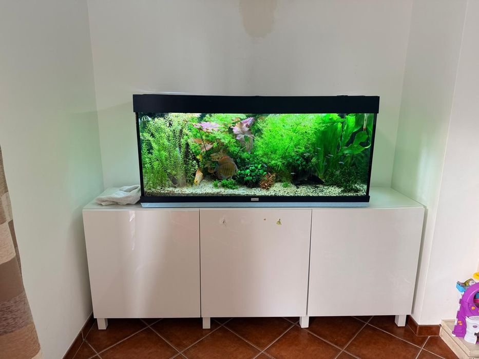 Aquário Juwel de 240 litros. (1,2 metros) com filtro Eheim profissiona