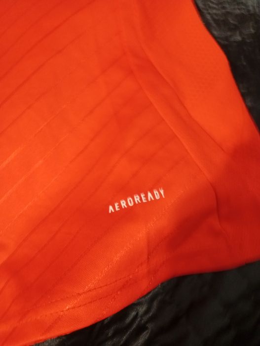 Camisola oficial do Benfica tamanho nova