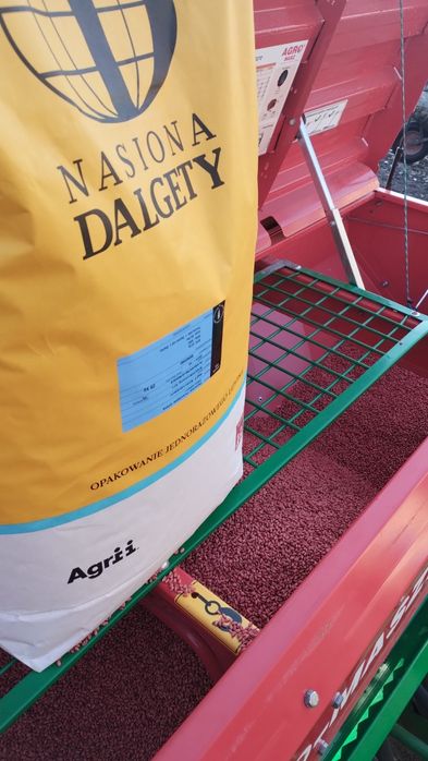 Sprzedam pszenicę rok po centrali