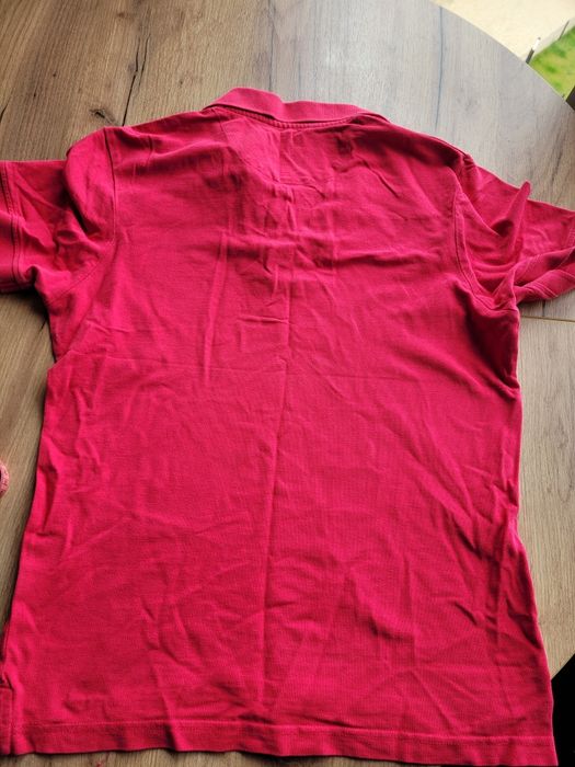 Męskie polo Bytom r L