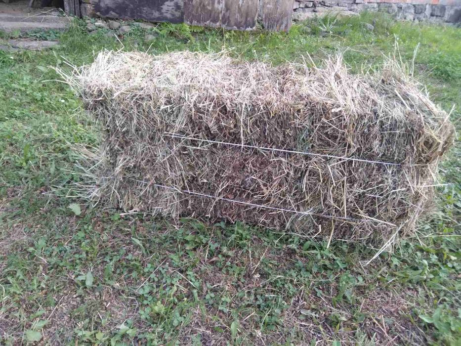 Продаж тюків( бал) сіно