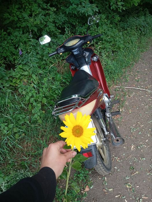 Мотоцикл Qingqi 110