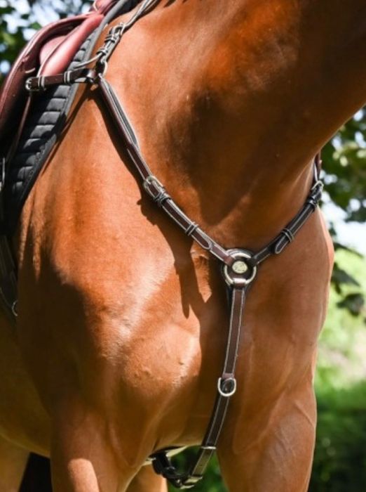 Peitoral jump’in wednesday