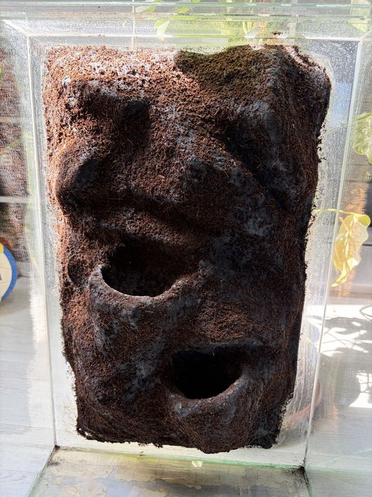 Terrarium dla gekona orzęsionego