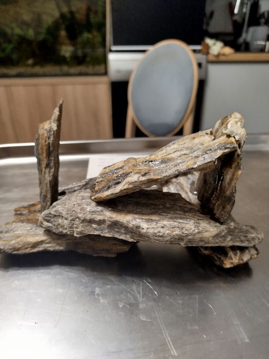 Sprzedam kompozycję do akwarium