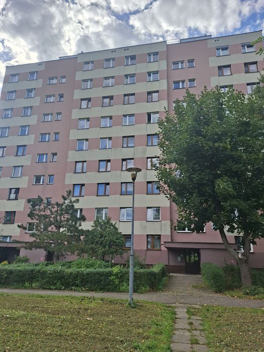 Zdjęcie 2
