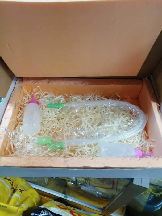 Спермадози від хряків Велика Біла,Ландрас,Пьетрен,Maxter304,Дюрок.