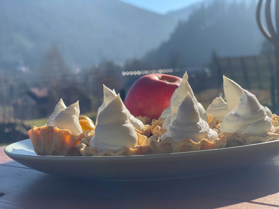 Здаю котедж, вул. Миру 42, на горі під лісом