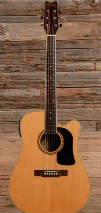 Washburn D10SCE (Preamp Fishman)  - COMO NOVA