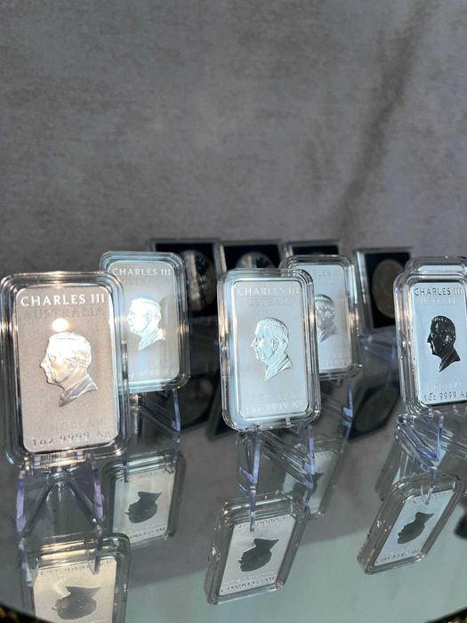 Австралійський дракон 2024-2025