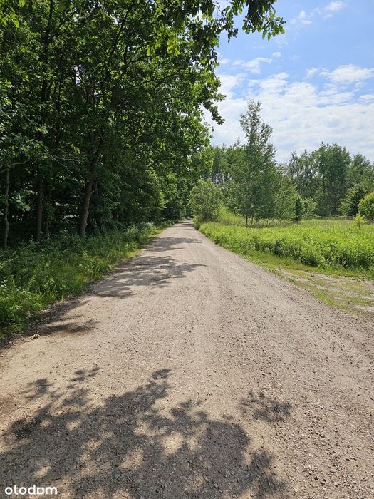Kierszek - działka 1700 m2 obok Lasu Kabackiego!