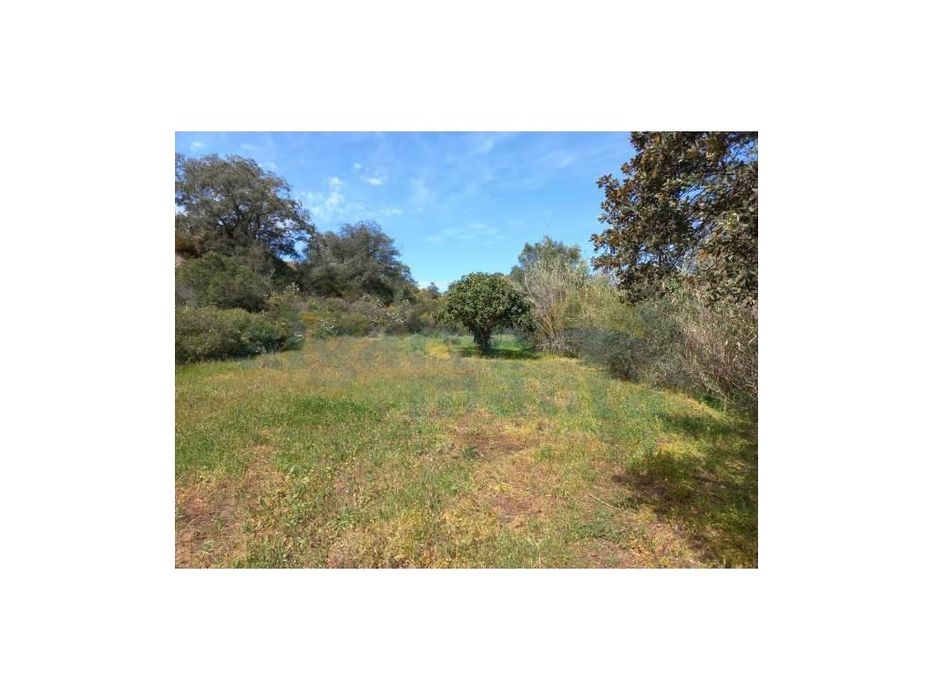 Terreno Rústico - Castro Marim