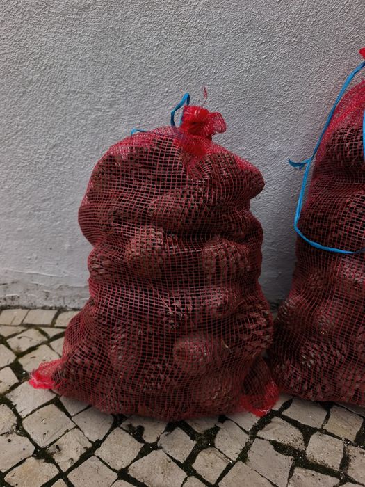 Saco de pinhas 6€ = 5kg