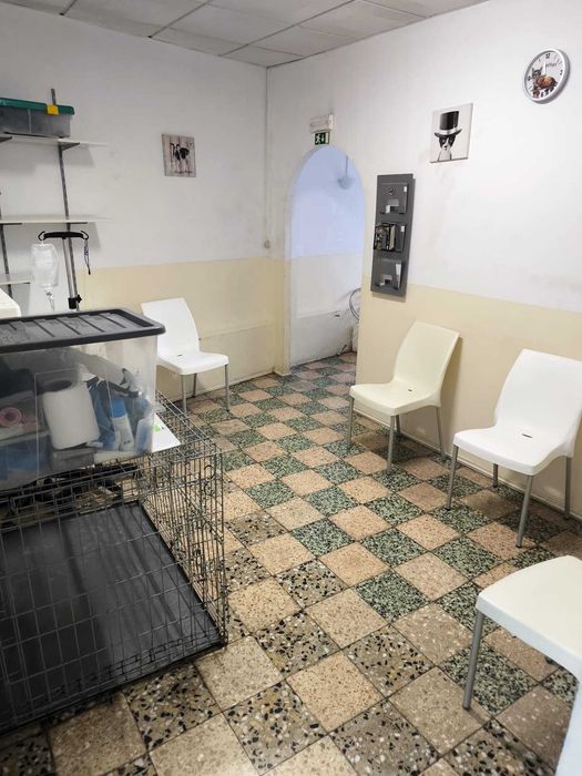 Trespasse Consultório Veterinário em Figueira de Castelo Rodrigo