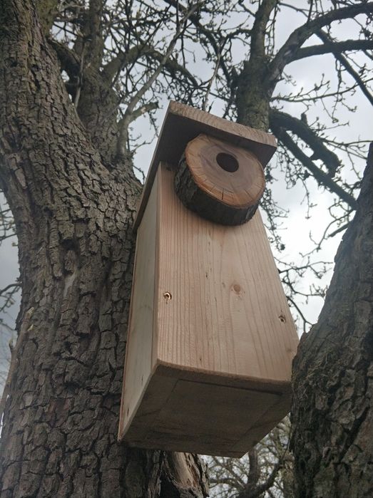 Budka dla ptaków, lęgowa. Drewno naturalne