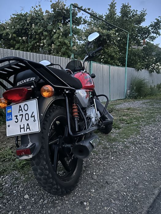 Boxer bajaj 150 x disk