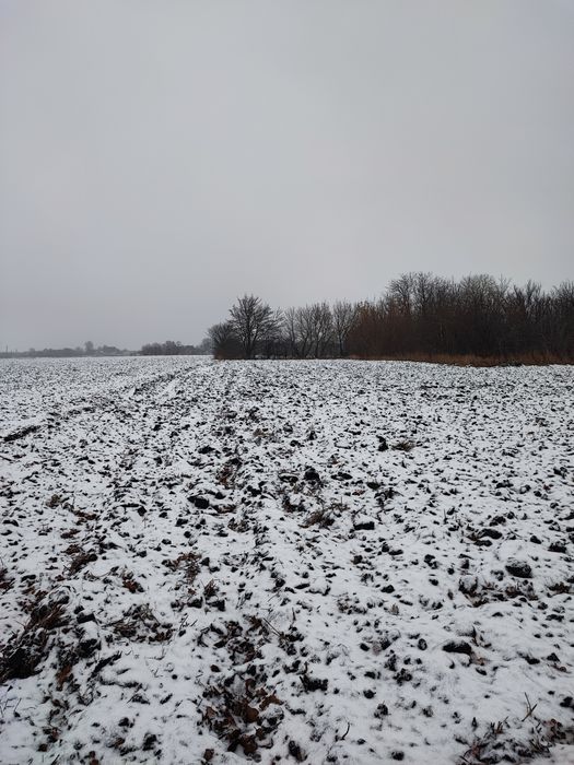 Продам земельну ділянку в місті Узин.