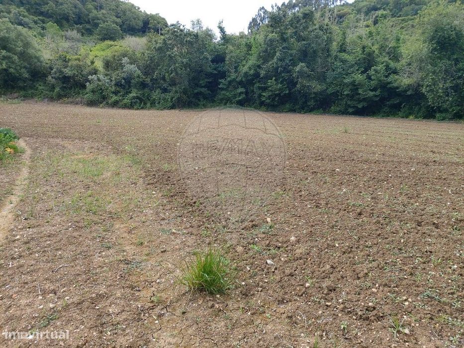 Terreno  para venda