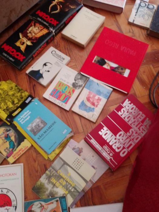 Saldos de verão Saramago e muitos outros Desde 2E.