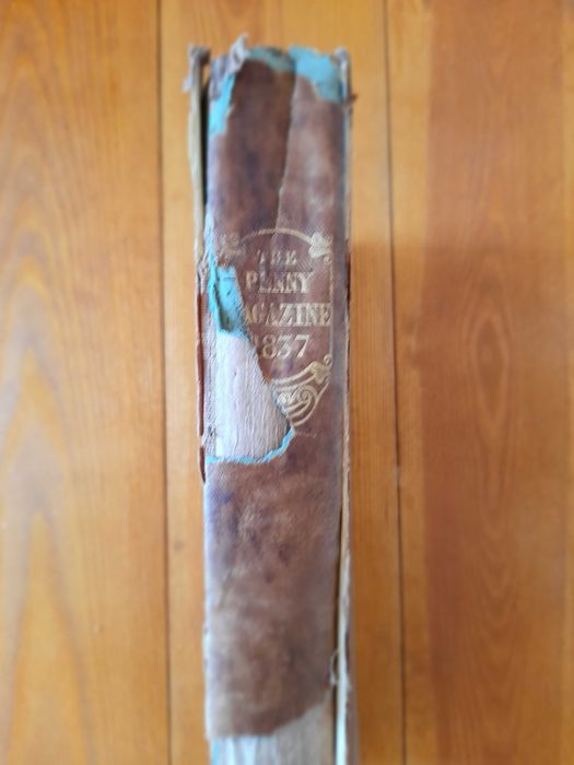 The Penny Magazine 1837 sketches of the Peninsula