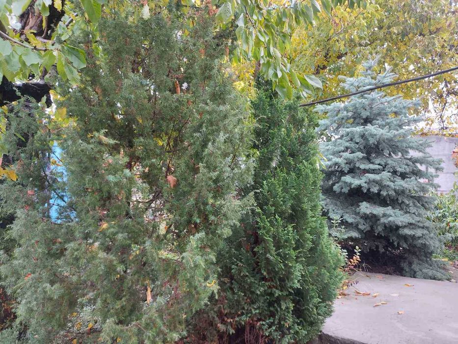 Продаж будинку. Комунарський район