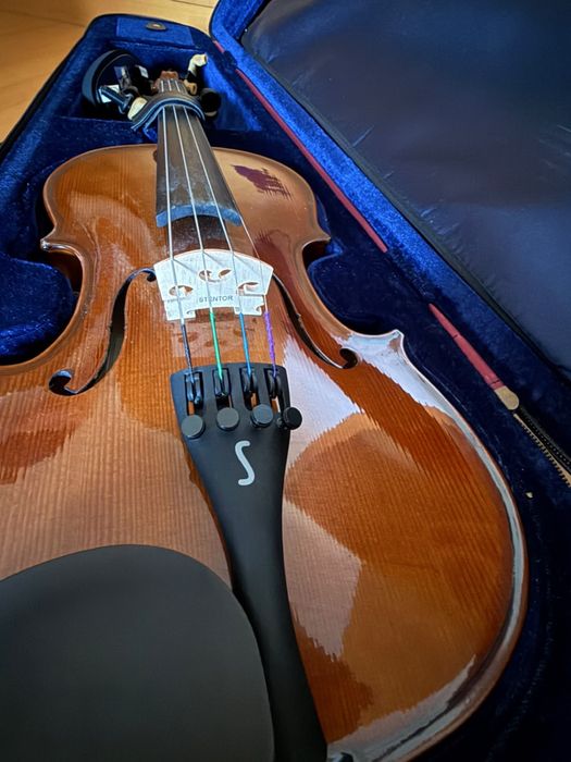 Violino em excelente estado