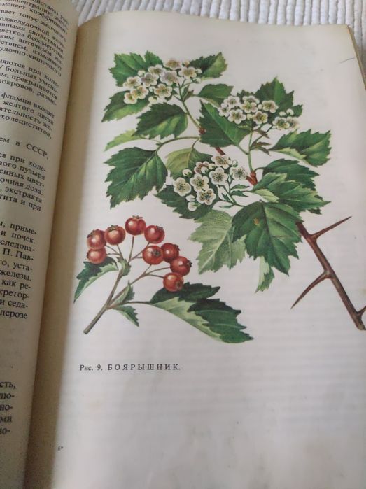 Книга Лікування рослинами 1972 рік