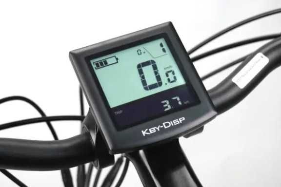 Bicicletta Elettrica E-Bike da città marca Colver Modello Groenlandia