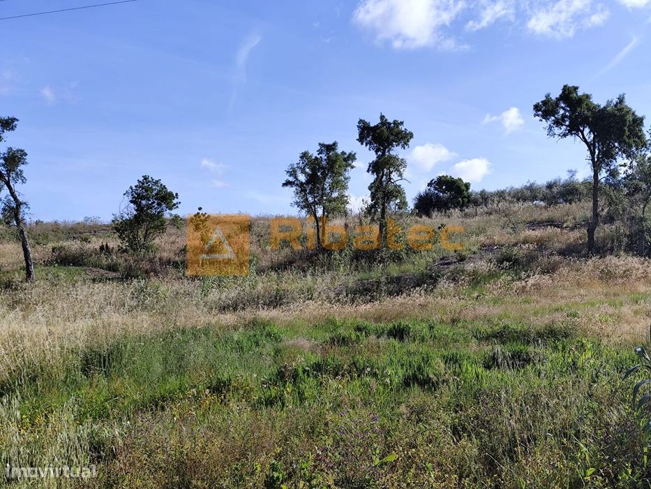 Terreno nas Fazendas da Arriça, Branca
