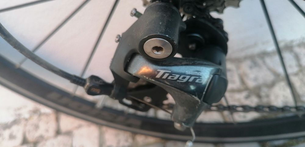 Specialized Secteur Elite